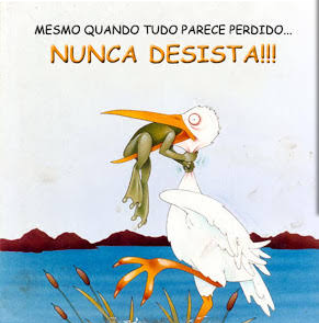 >IMAGEM NÃO ENCONTRADA<